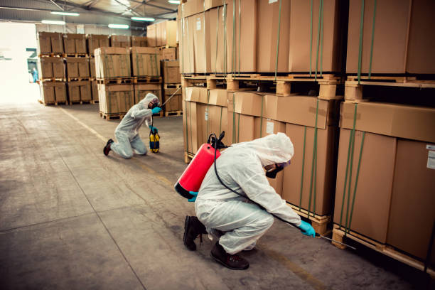 Best Best Pest Control Companies  in Pauls Valley, OK