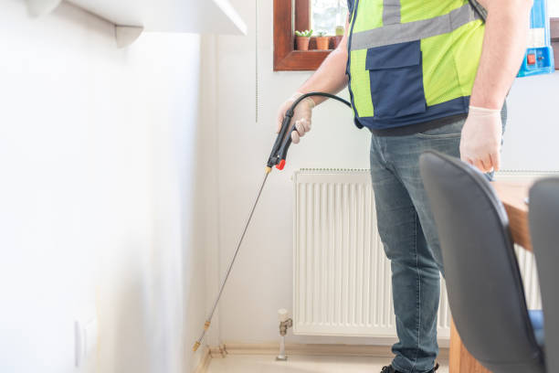 Professional Pest Control in Pauls Valley, OK