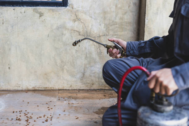 Best Best Pest Control Near Me  in Pauls Valley, OK